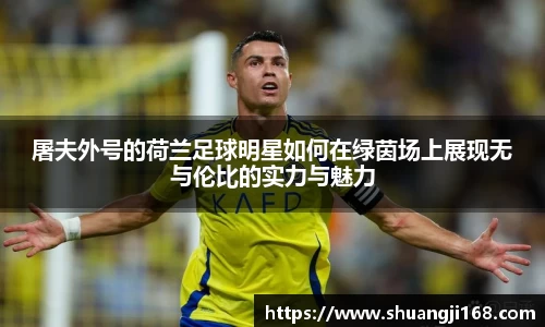 屠夫外号的荷兰足球明星如何在绿茵场上展现无与伦比的实力与魅力